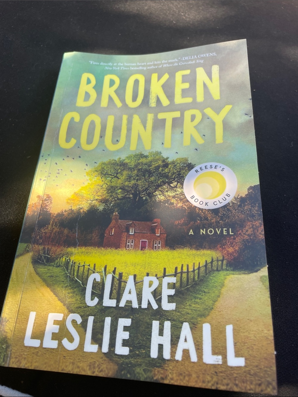 Clare Leslie Hall Broken Country Paperback - Green Cover